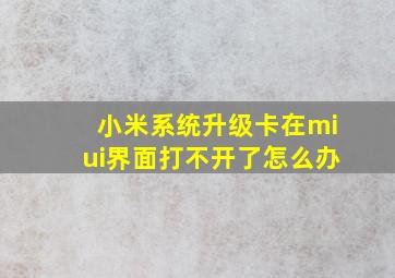 小米系统升级卡在miui界面打不开了怎么办