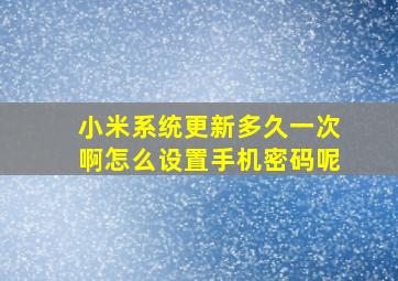 小米系统更新多久一次啊怎么设置手机密码呢