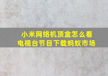 小米网络机顶盒怎么看电视台节目下载蚂蚁市场