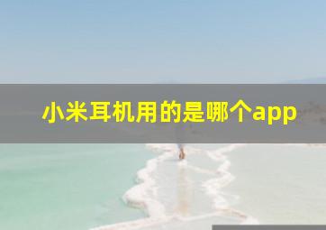 小米耳机用的是哪个app