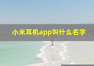 小米耳机app叫什么名字