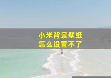 小米背景壁纸怎么设置不了