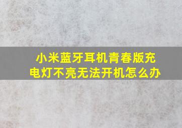 小米蓝牙耳机青春版充电灯不亮无法开机怎么办