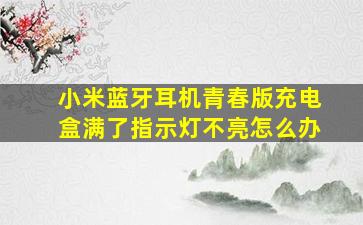 小米蓝牙耳机青春版充电盒满了指示灯不亮怎么办