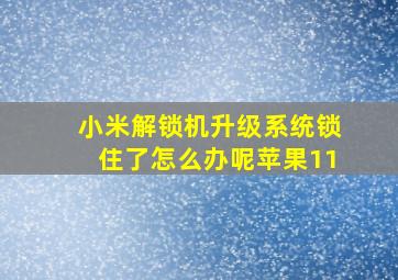 小米解锁机升级系统锁住了怎么办呢苹果11