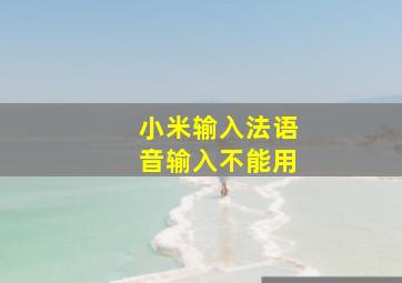 小米输入法语音输入不能用