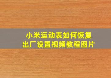 小米运动表如何恢复出厂设置视频教程图片