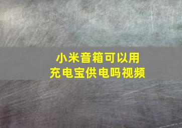 小米音箱可以用充电宝供电吗视频