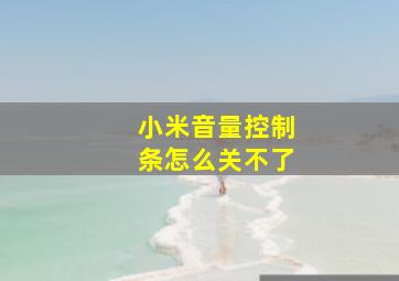 小米音量控制条怎么关不了