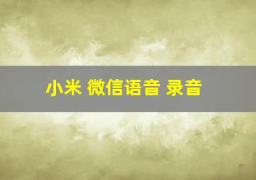 小米 微信语音 录音