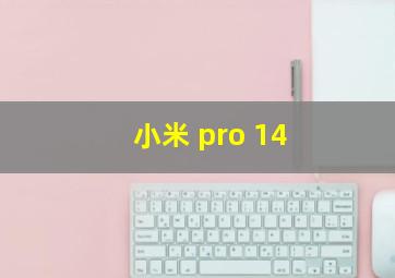 小米 pro 14