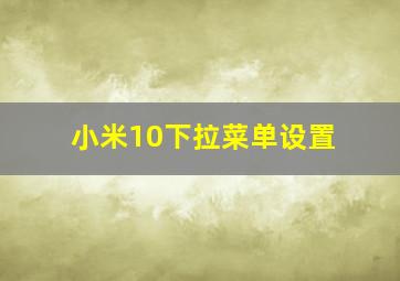 小米10下拉菜单设置