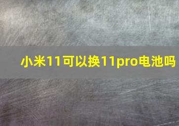 小米11可以换11pro电池吗