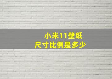 小米11壁纸尺寸比例是多少