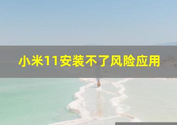 小米11安装不了风险应用