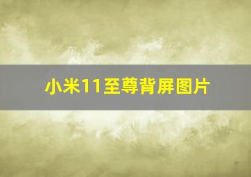 小米11至尊背屏图片