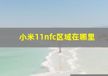 小米11nfc区域在哪里