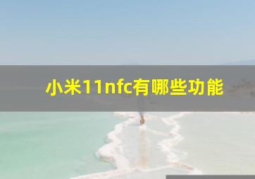 小米11nfc有哪些功能