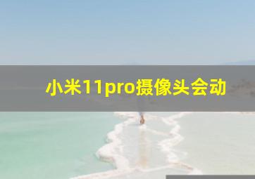 小米11pro摄像头会动