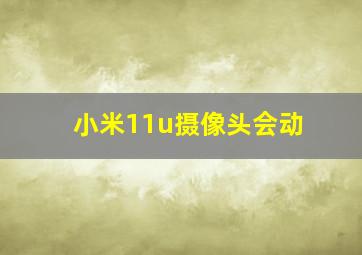 小米11u摄像头会动