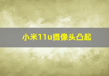 小米11u摄像头凸起