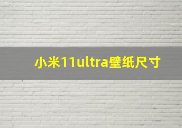 小米11ultra壁纸尺寸