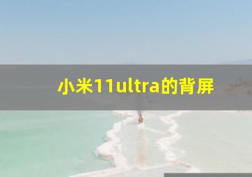 小米11ultra的背屏