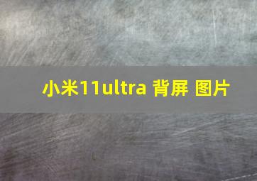 小米11ultra 背屏 图片