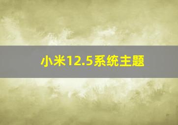 小米12.5系统主题