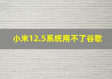 小米12.5系统用不了谷歌