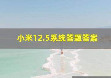 小米12.5系统答题答案