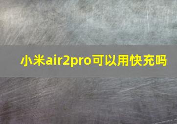 小米air2pro可以用快充吗