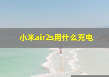 小米air2s用什么充电