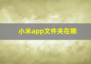 小米app文件夹在哪