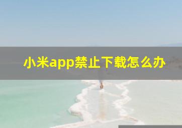 小米app禁止下载怎么办