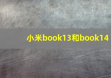 小米book13和book14