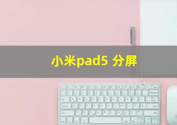 小米pad5 分屏