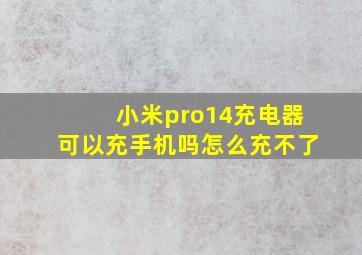 小米pro14充电器可以充手机吗怎么充不了