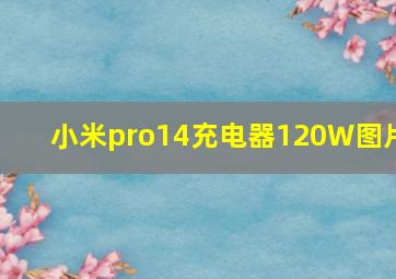 小米pro14充电器120W图片