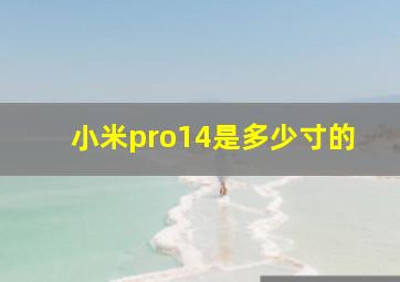 小米pro14是多少寸的