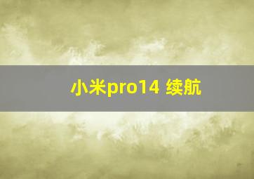 小米pro14 续航