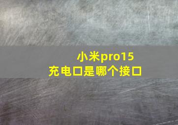 小米pro15充电口是哪个接口