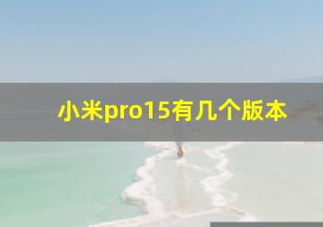 小米pro15有几个版本