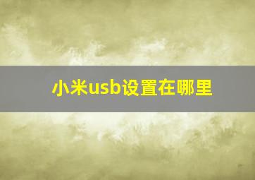 小米usb设置在哪里