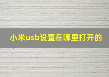 小米usb设置在哪里打开的