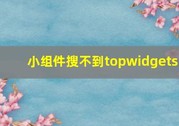 小组件搜不到topwidgets