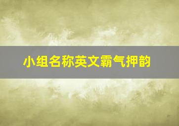 小组名称英文霸气押韵