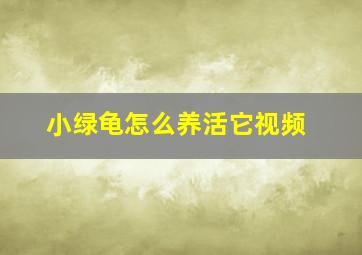 小绿龟怎么养活它视频