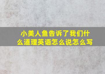 小美人鱼告诉了我们什么道理英语怎么说怎么写