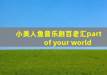 小美人鱼音乐剧百老汇part of your world